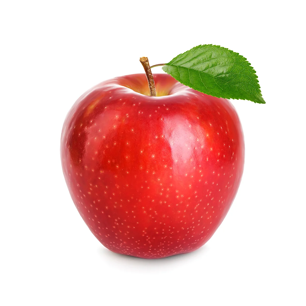 Engin Tarım - Florine