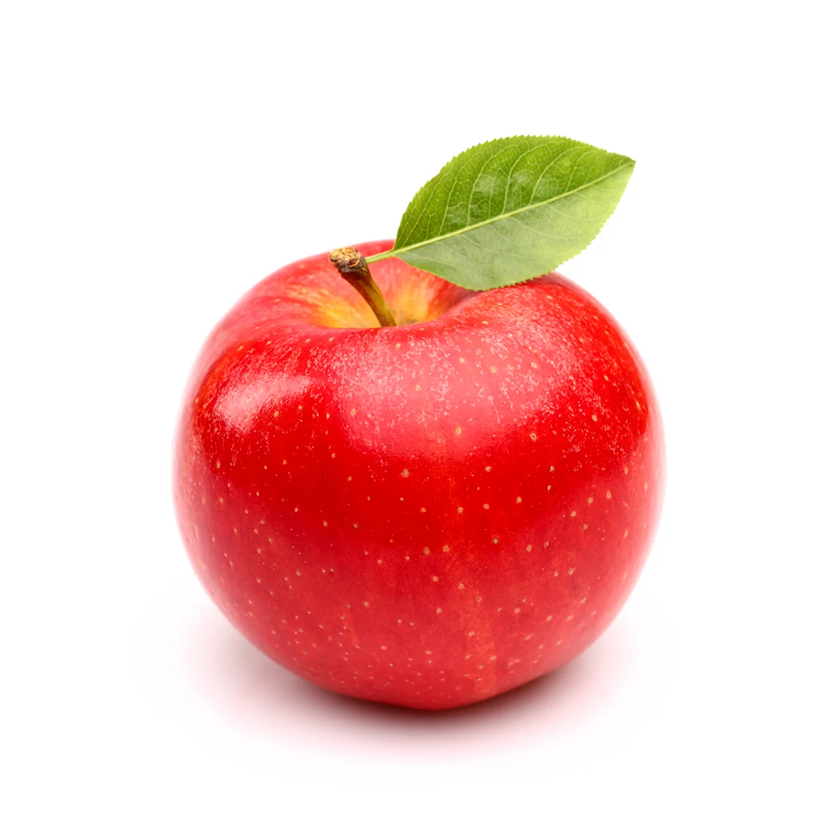 Engin Tarım - Gradisca