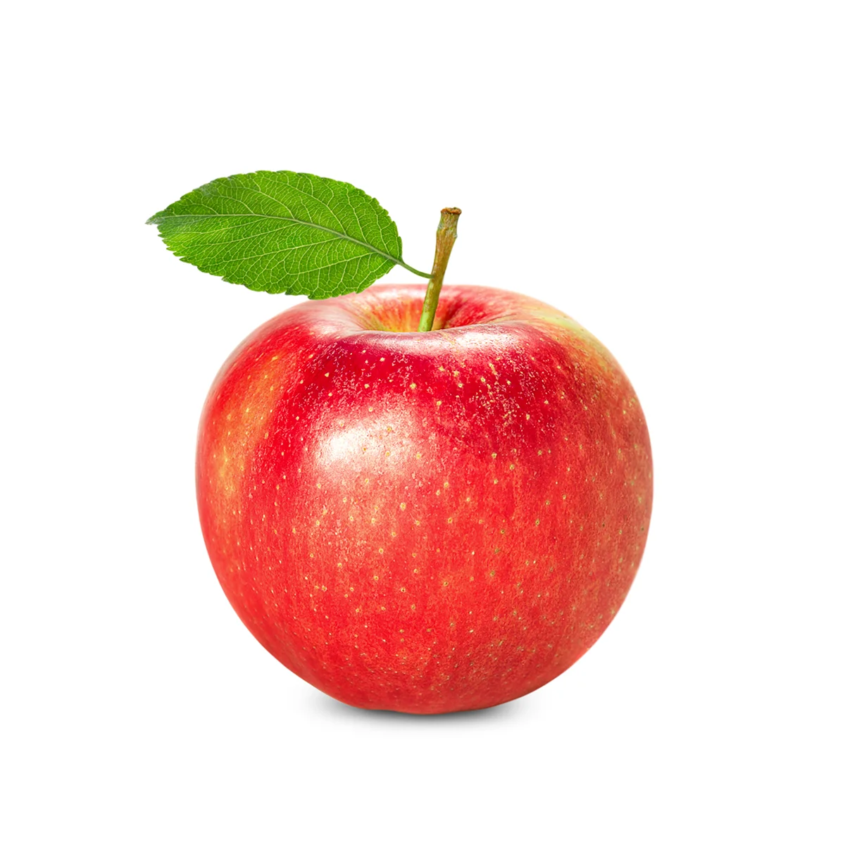 Engin Tarım - Magic Star