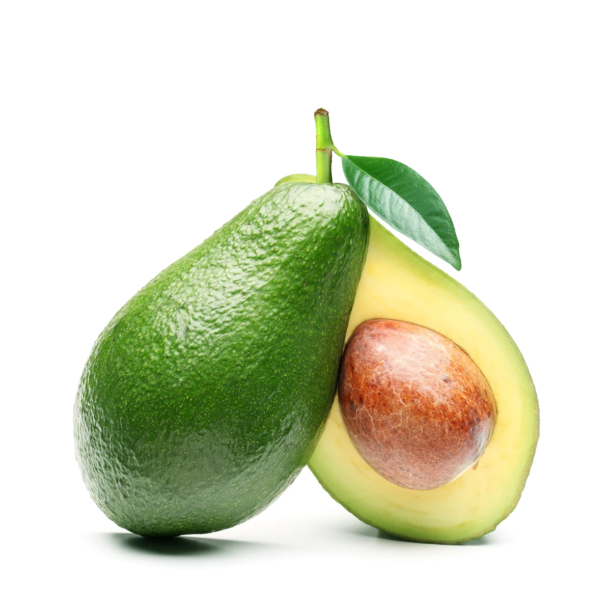 Engin Tarım - Avocado
