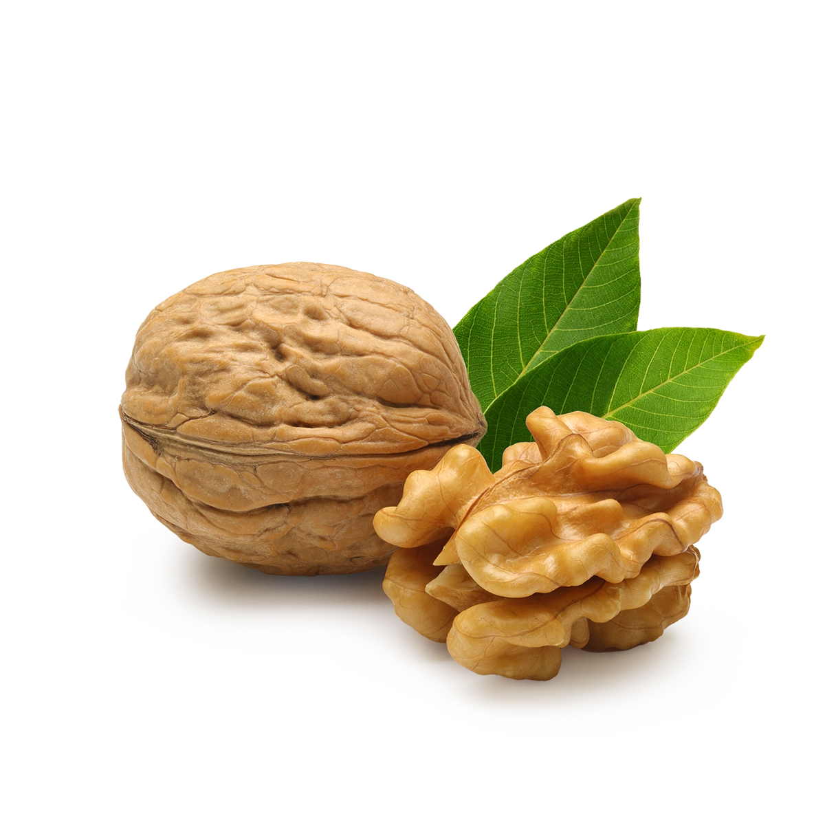 Engin Tarım - Ginger