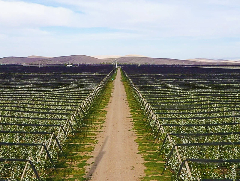 Engin Tarım Akçaşehir Merkez Bahçe