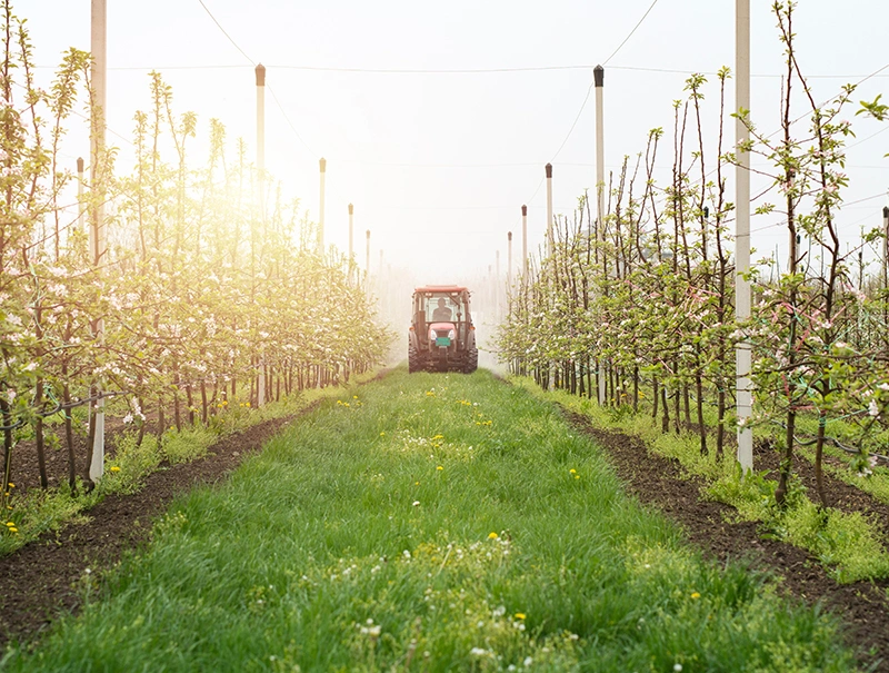 Engin Tarım Hindistan Bahçe