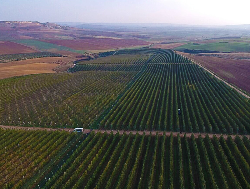 Engin Tarım Tekirdağ Bahçe