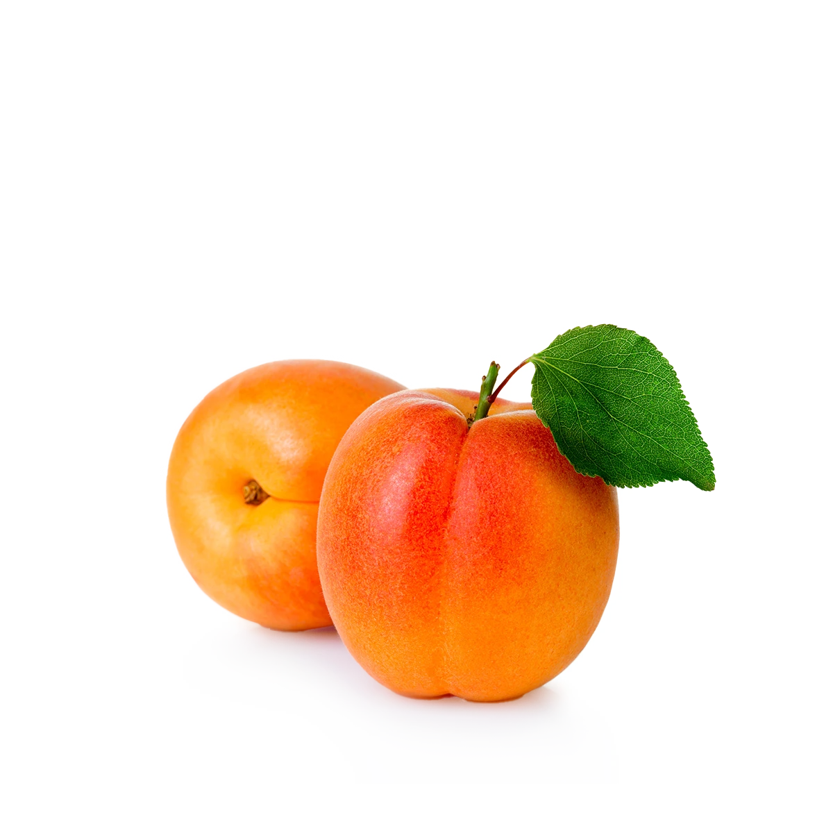 Engin Tarım - Kayısı