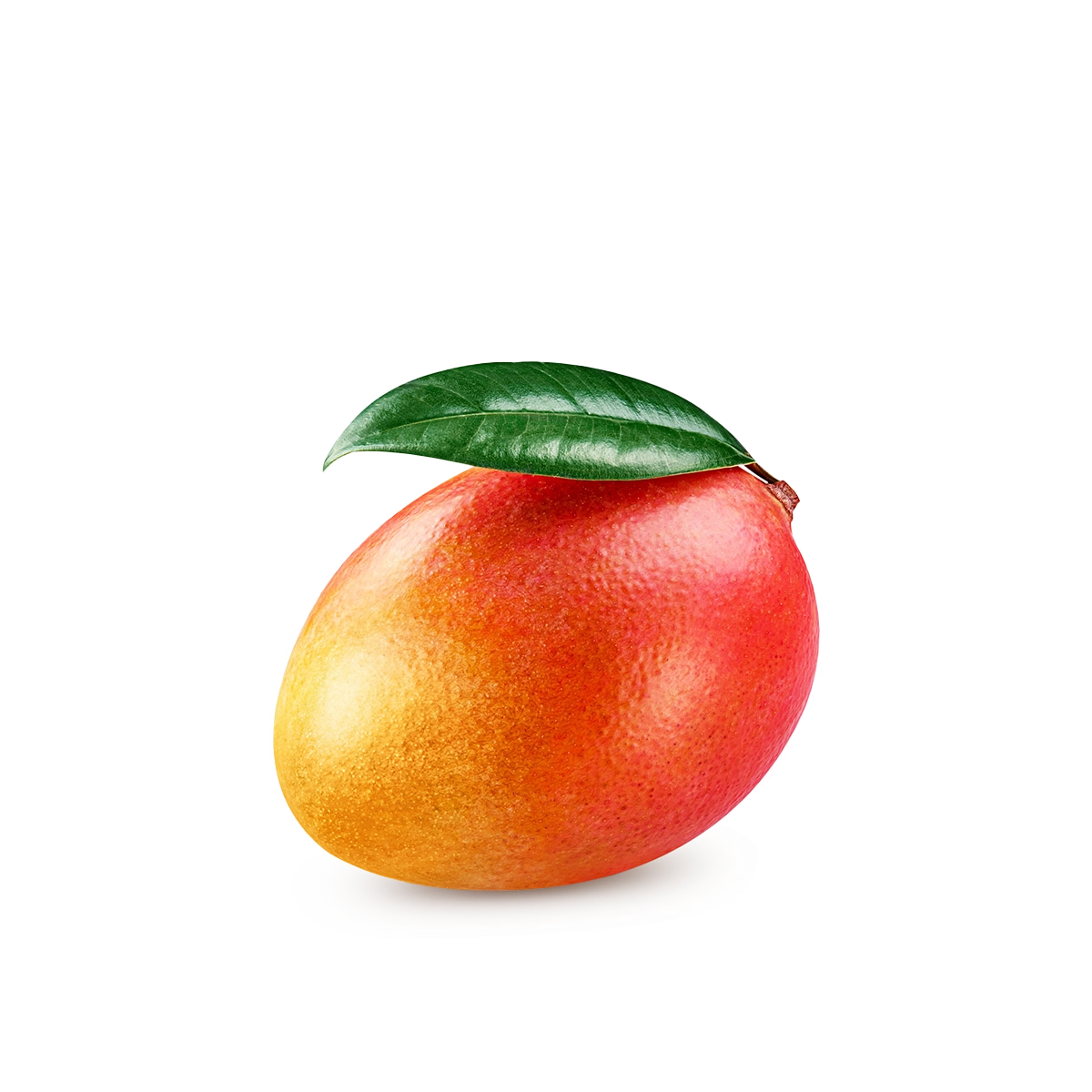 Engin Tarım - Mango